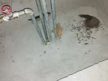 龙文卫生间测漏水价格明细