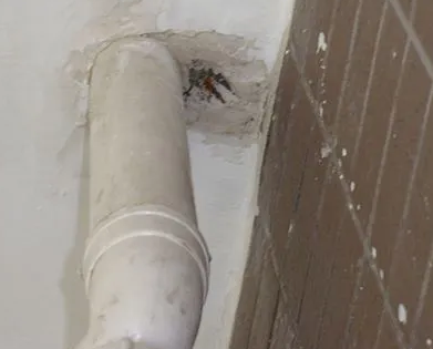 龙文漏水检测哪家好